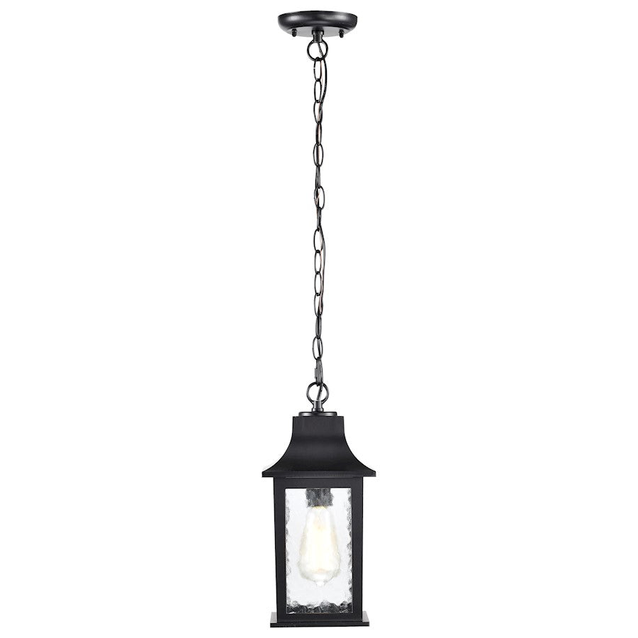 Nuvo Lighting Stillwell 1 Light Outdoor Hanging Lantern, Black/Water