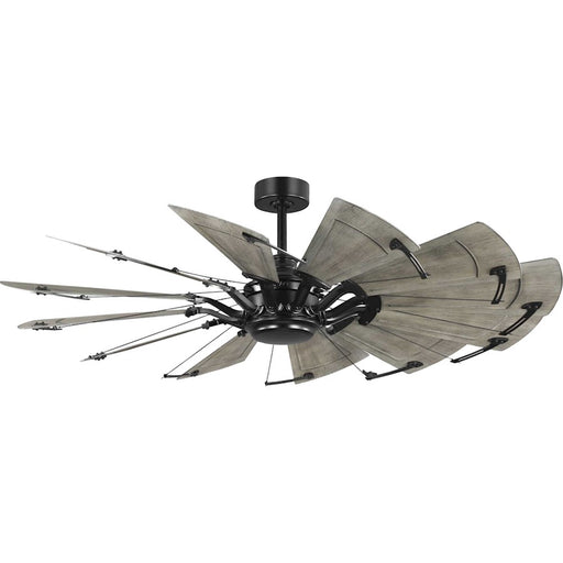 Progress Lighting Springer II 60" 12-Blade Ceiling Fan, Black - P250098-31M