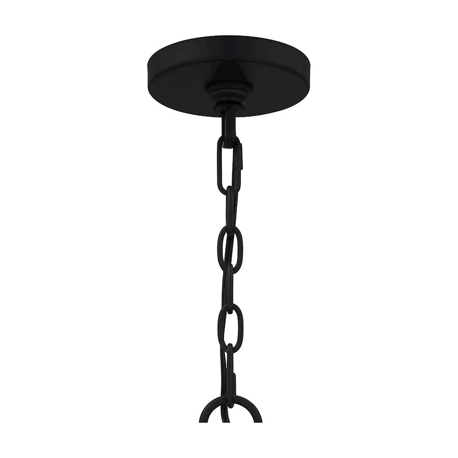 4 Light Pendant, Matte Black/Clear