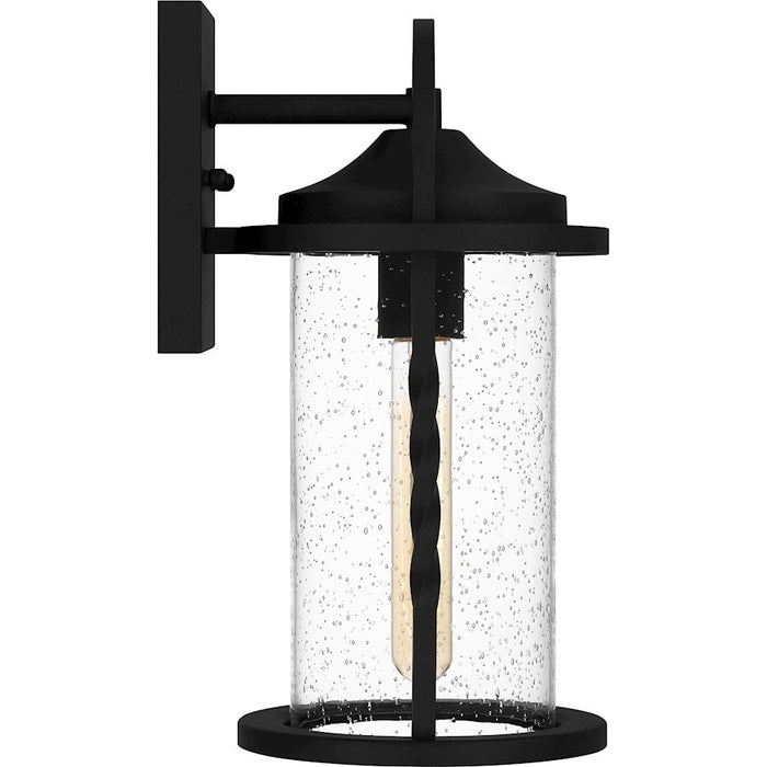 Quoizel Reece 1 Light Outdoor Lantern, Earth Black/Clear Seedy