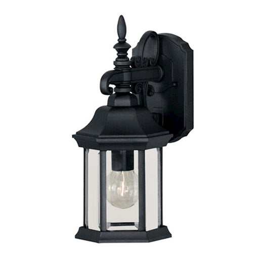 Meridian Transitional 1 Light 14" Outdoor Wall Lantern, Black/Clear - M50056BK