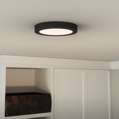 Quoizel Outskirts Flush Mount, Earth Black