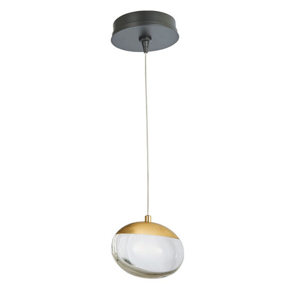 Abra Lighting Athena 1 Light Teardrop Pendant, Black/Brass