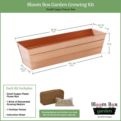Achla Bloom Box 22in Small Garden Growing Kit | Copper Plated Galvanized Steel | Deck, Porch & Balcony Container Garden | Model C-08C-GK