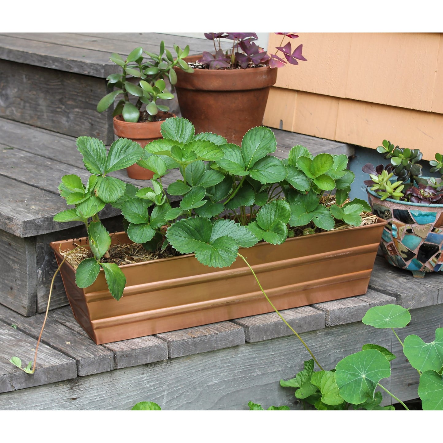 Achla Bloom Box 22in Small Garden Growing Kit | Copper Plated Galvanized Steel | Deck, Porch & Balcony Container Garden | Model C-08C-GK