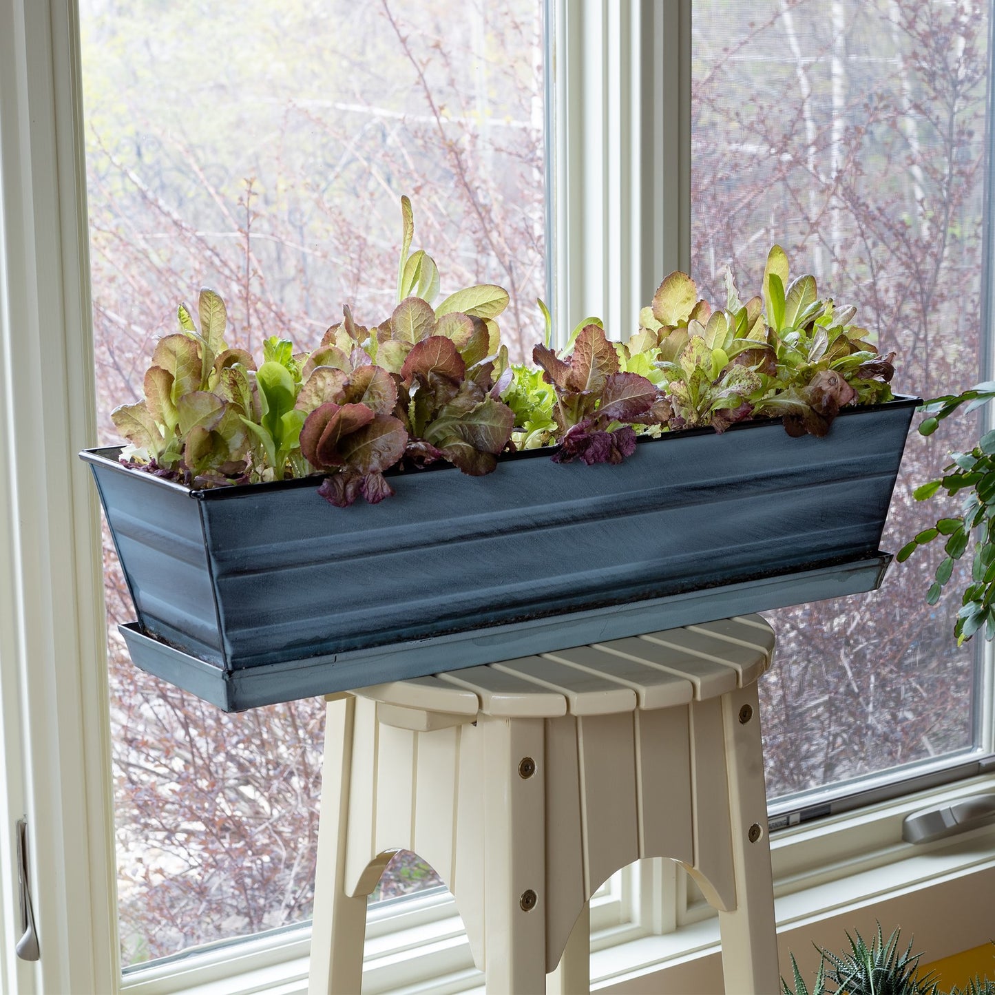 Achla Small Nantucket Blue Flower Box with Tray | Galvanized Steel | Deck, Balcony & Indoor Container Garden | 22 x 6 x 5 in | Model C-08NB-T