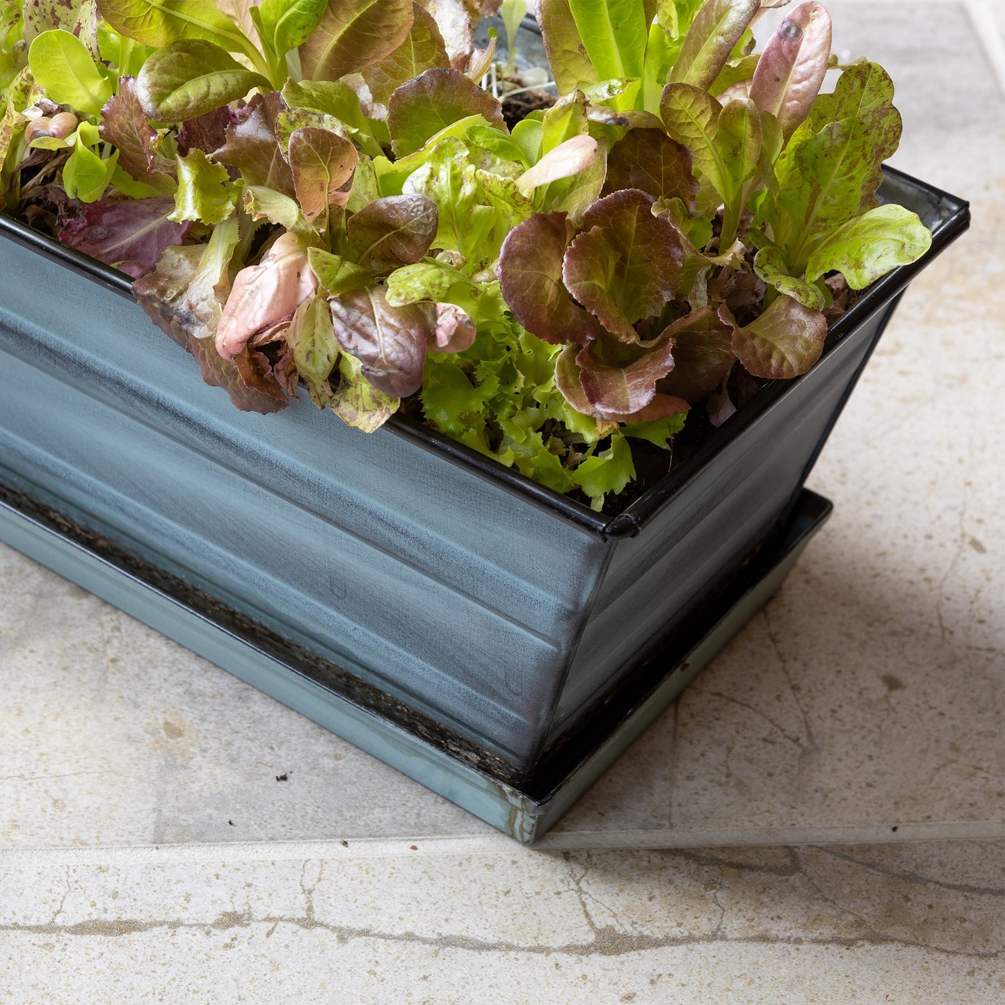 Achla Small Nantucket Blue Flower Box with Tray | Galvanized Steel | Deck, Balcony & Indoor Container Garden | 22 x 6 x 5 in | Model C-08NB-T