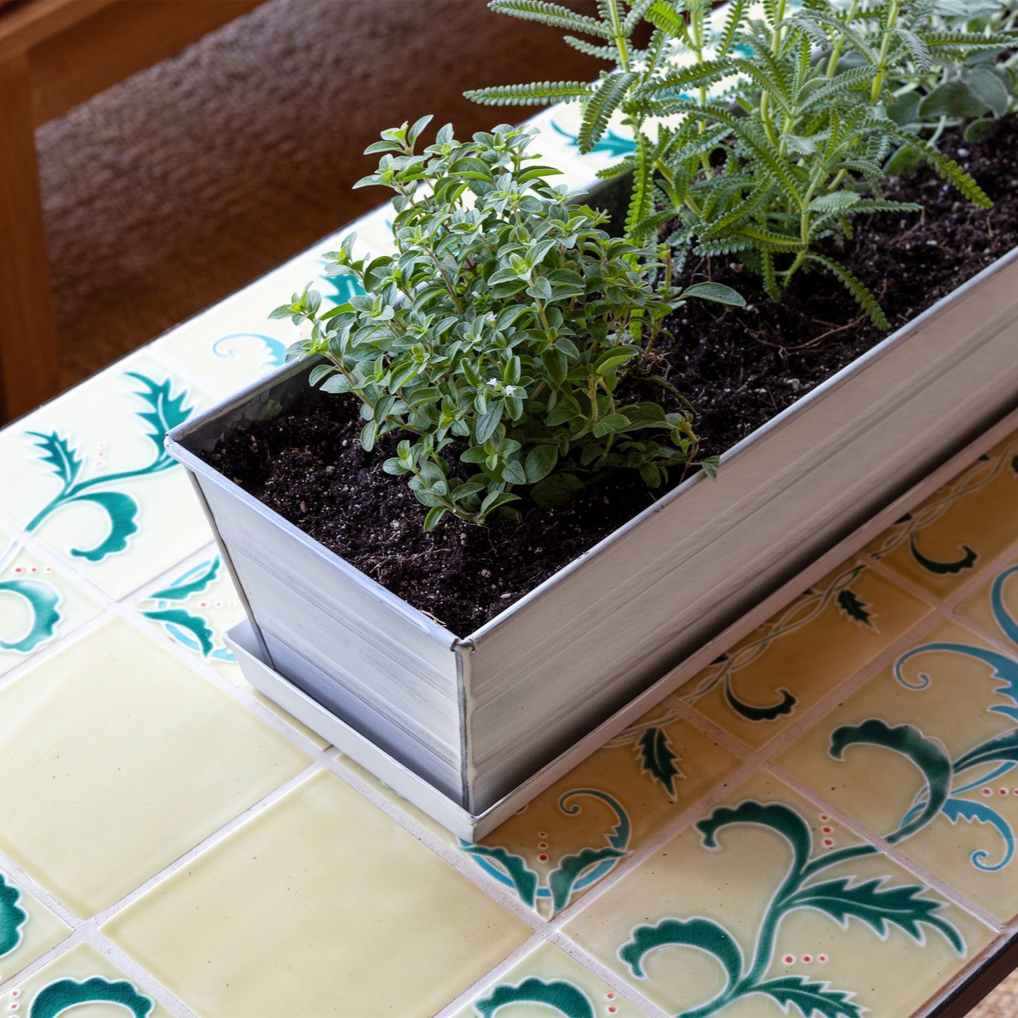 Achla Small White Flower Box with Drip Tray | Galvanized Steel Planter | Balcony & Deck Container Garden | 22 x 6 x 5 in | Model C-08W-T
