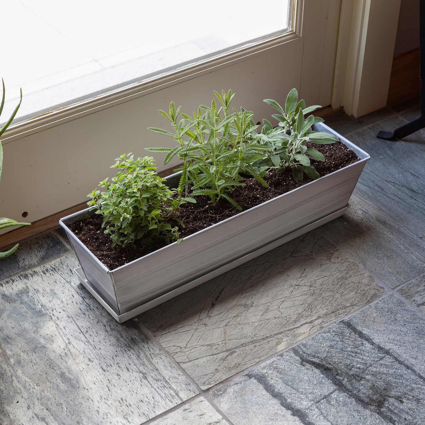 Achla Small White Flower Box with Drip Tray | Galvanized Steel Planter | Balcony & Deck Container Garden | 22 x 6 x 5 in | Model C-08W-T