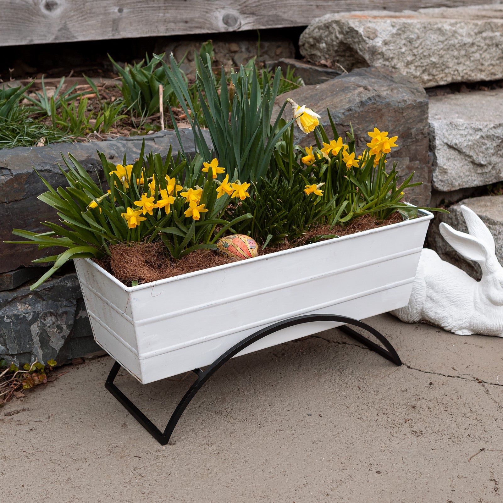 Achla Bloom Box Garden Growing Kit, Medium White | Galvanized Steel and Wrought Iron | Deck & Balcony Container Garden | 24 x 9.5 | Model C-20W-S-GK2