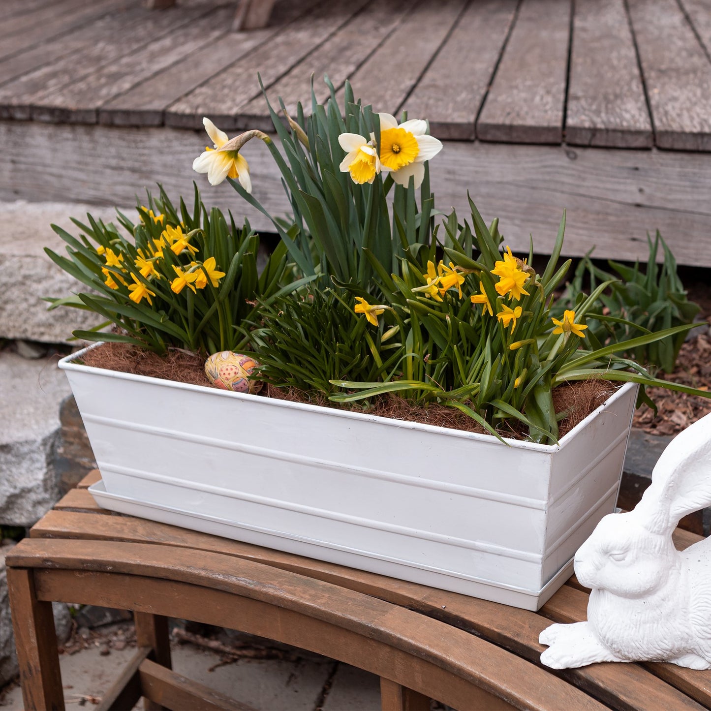 Achla Medium White Flower Box with Tray | Galvanized Steel Cape Cod White | Deck & Balcony Planter | 24 x 10 x 8 in | Model C-20W-T