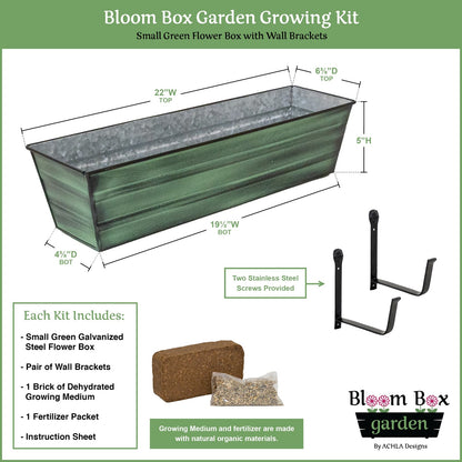Achla Bloom Box Small Green Garden Growing Kit | Galvanized Steel with Wrought Iron Brackets | Balcony & Deck Container Garden | Model C08-WM-GK
