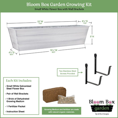 Achla Bloom Box Small White Garden Growing Kit | Galvanized Steel with Wall Brackets | Balcony & Deck Container Garden | Model C08W-WM-GK
