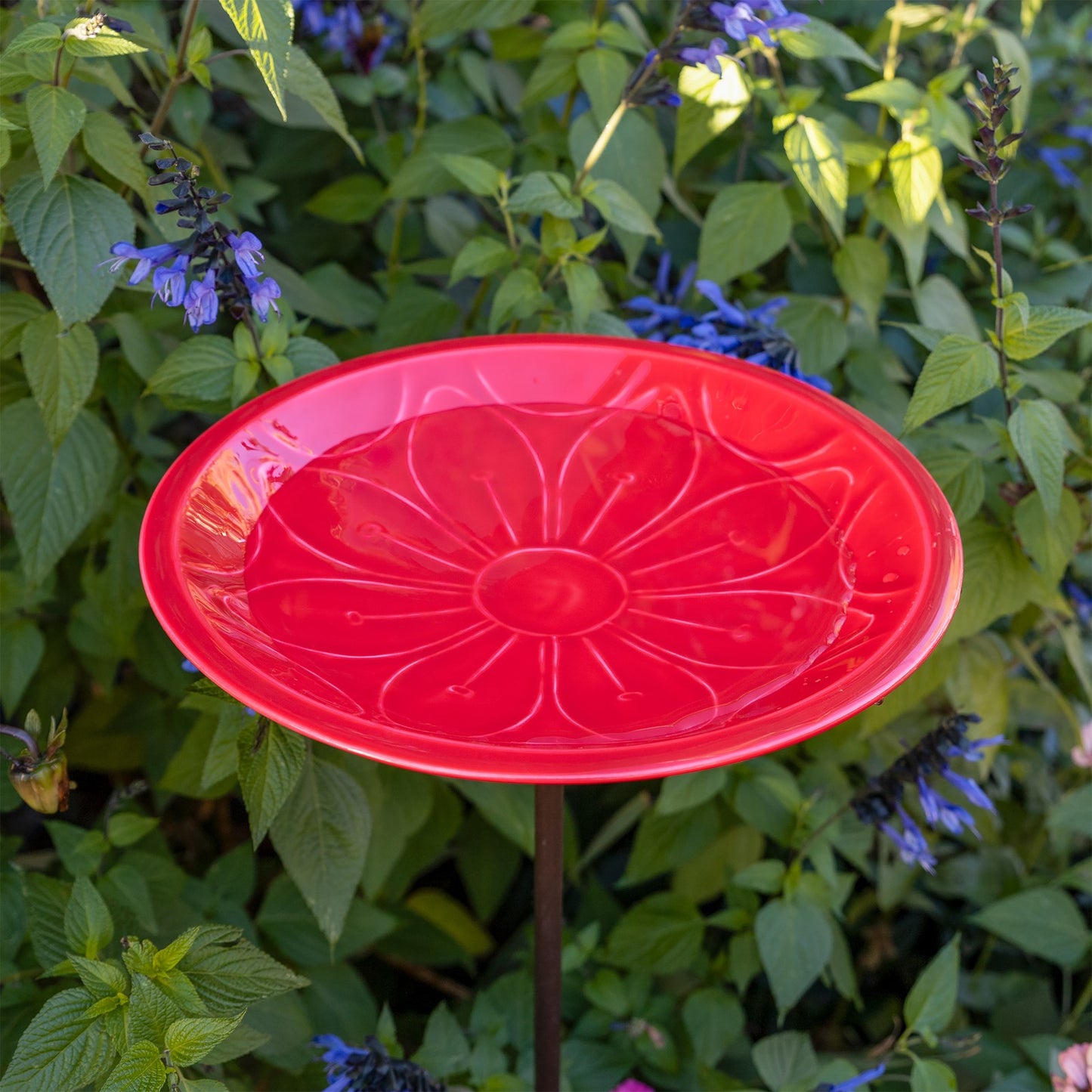 Achla Petunia Lolly 12in Birdbath with Stake | Petunia Pink Glass Enamel on Brass and Wrought Iron | Garden & Patio Bird Bath | 12 x 12 | Model EBB-02P-S