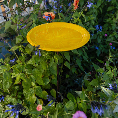 Achla Sunflower Lolly 12in Birdbath with Stake | Sunflower Yellow Glass Enamel on Brass and Wrought Iron | Garden & Patio Bird Bath | 12 | Model EBB-02Y-S