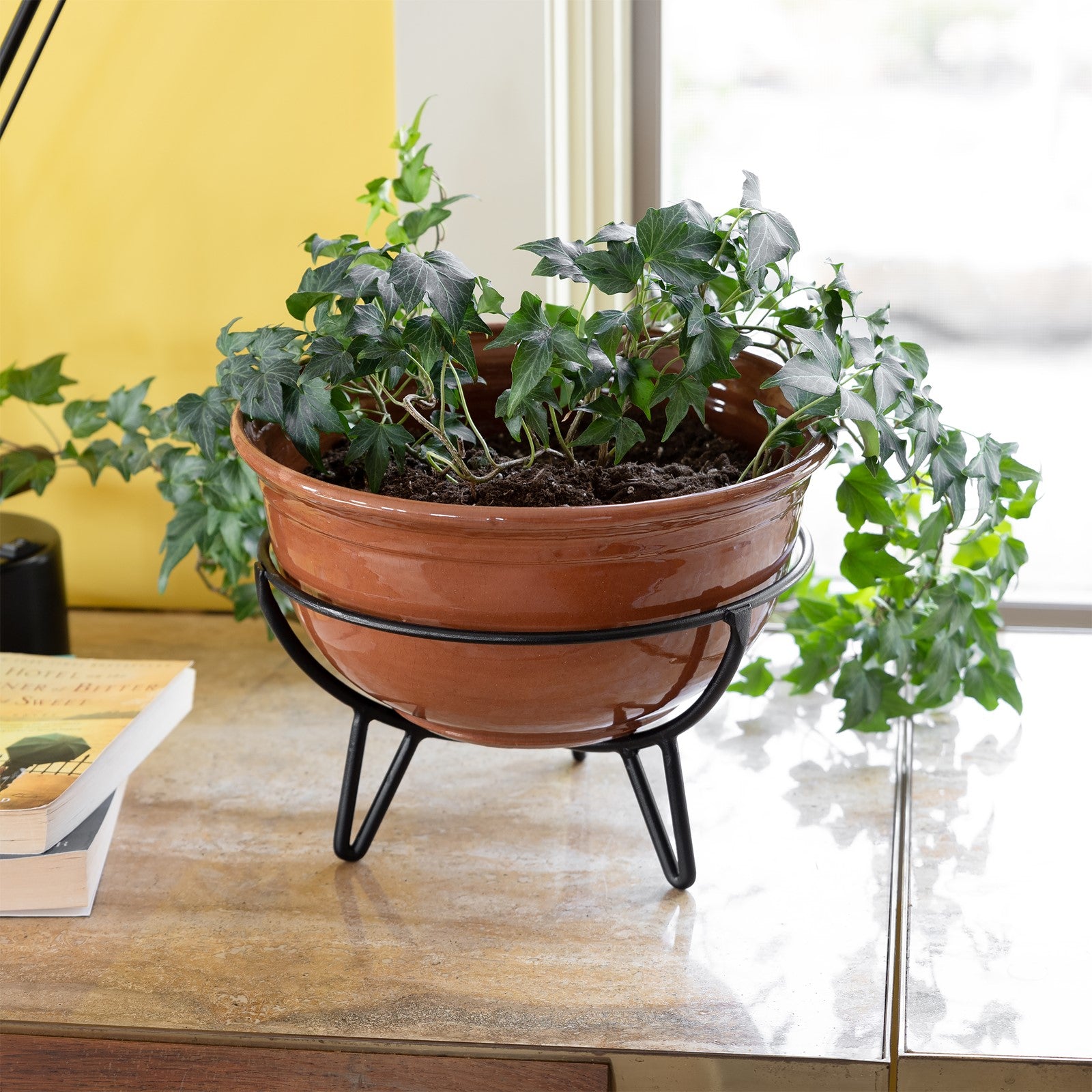 Achla Frida I Plant Stand | Mid-Century Wrought Iron Black | Indoor Tabletop or Floor Plant Display | 10 x 10 x 6.25 in | Model FC-06