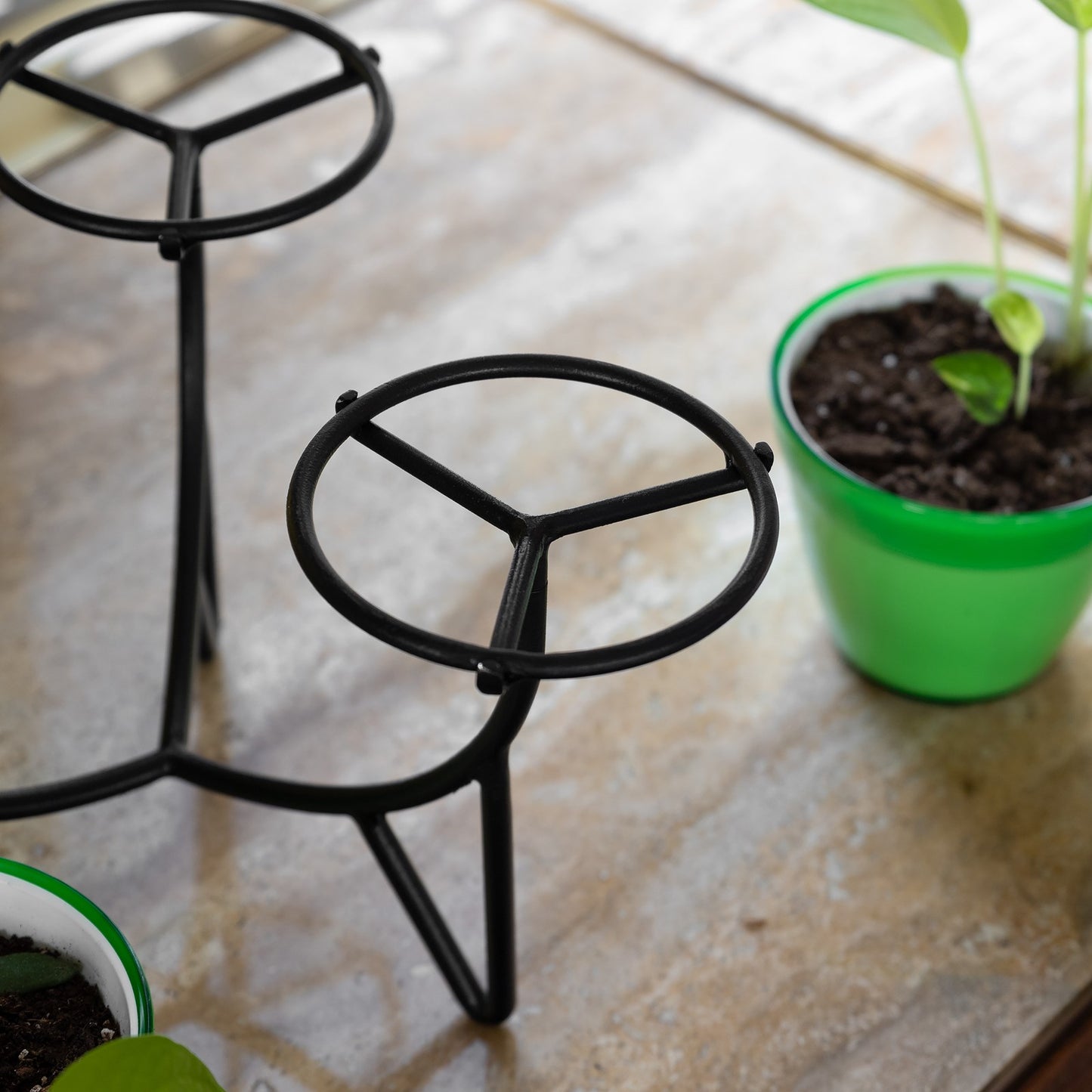 Achla Frida III Plant Stand | Mid-Century Wrought Iron Black | Tabletop Display for Small Pots | 11.5 x 11.5 x 7.75 in | Model FC-07