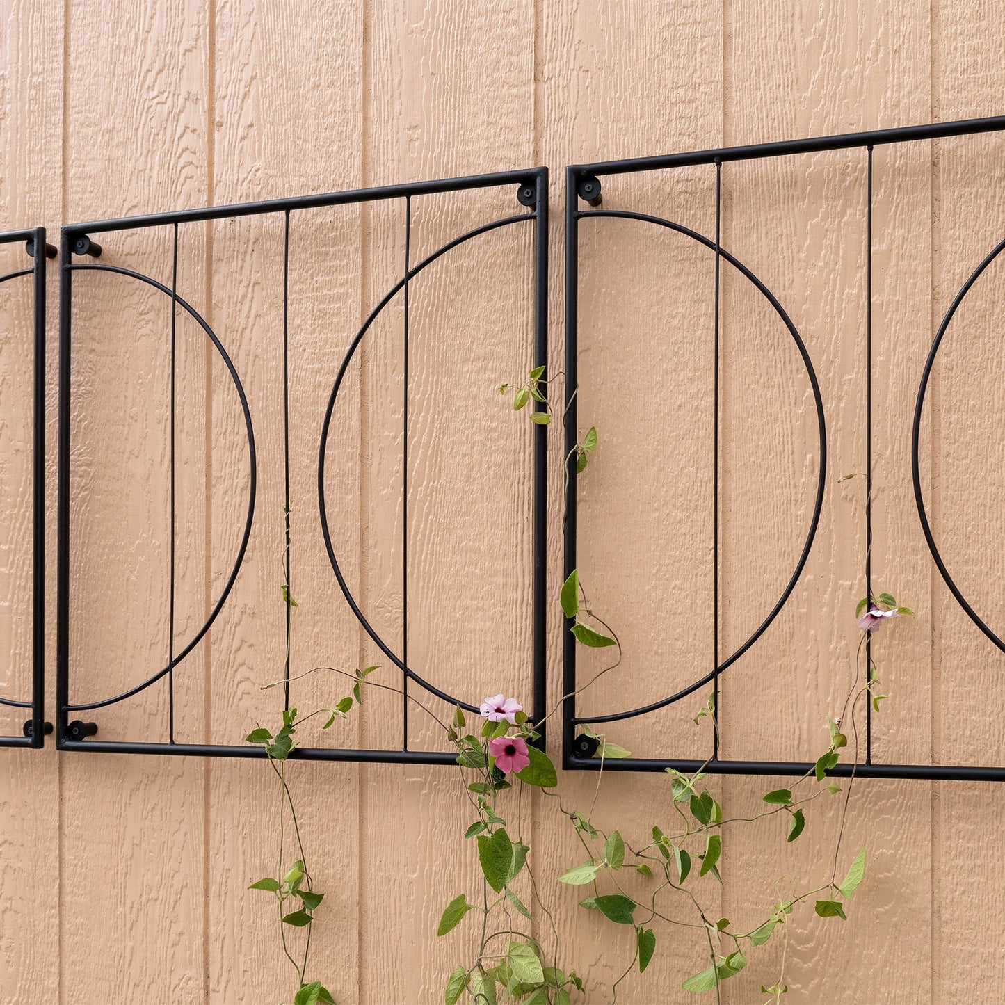 Achla Quilt Block-Circles Wall Trellis Panels (Set of 3) | Wrought Iron Black | Garden Wall & Fence Climbing Plant Support | Model FT-52C