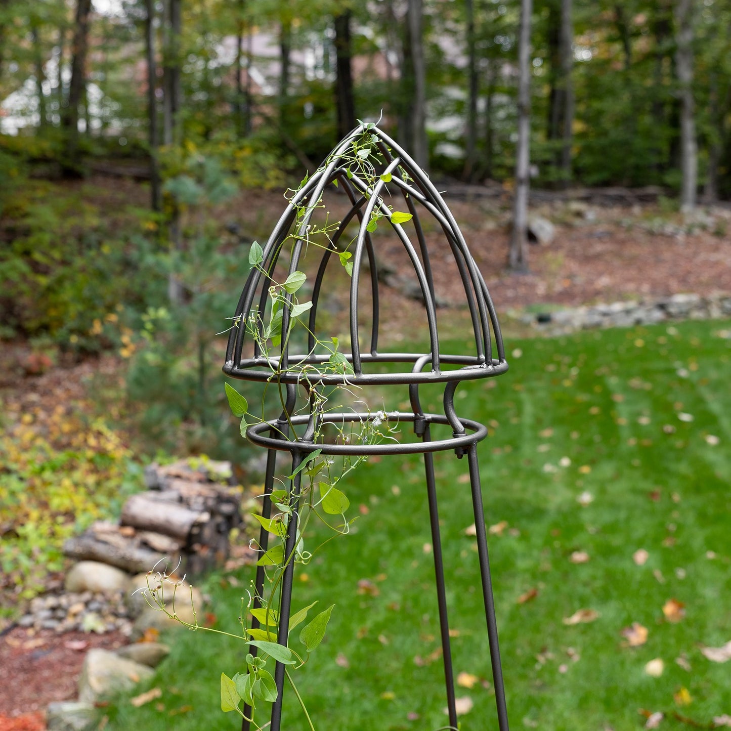 Achla Minar Pylon I 65.5in Wrought Iron Plant Trellis | Graphite Powdercoat | Garden Entryway & Vegetable Bed | 17.75 x 17.75 x 65.5 in | Model PYL-21