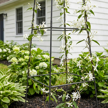 Achla Minar Pylon II 87in Wrought Iron Plant Trellis | Graphite Powdercoat | Garden Entryway & Vegetable Bed | 21 x 21 x 87 in | Model PYL-22