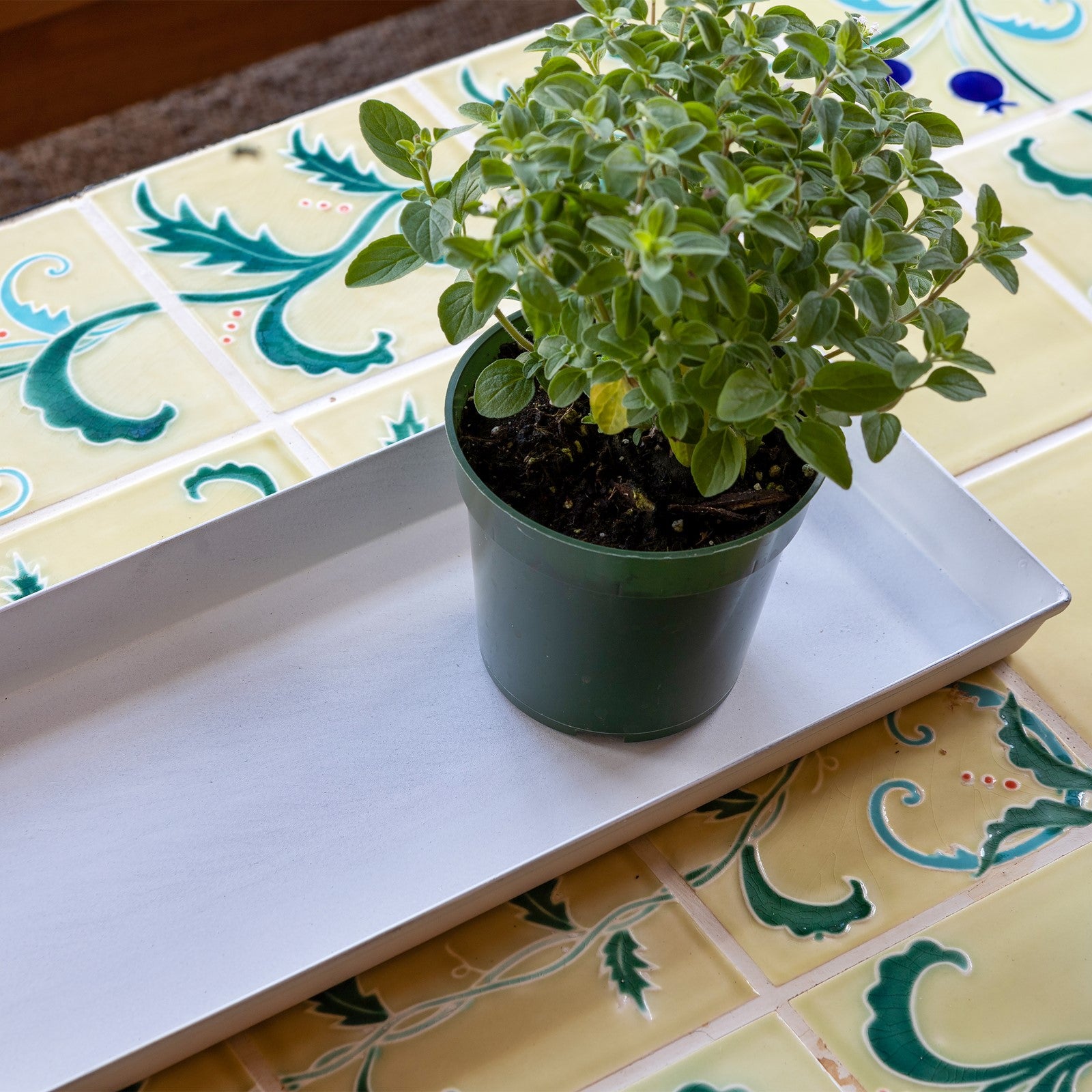 Achla Small Cape Cod White Flower Box Tray, Pack of 2 | Galvanized Steel Planter Tray | Indoor & Outdoor Plant Drip Tray | 22 x 6 x 1 in | Model TR-C-08W-2