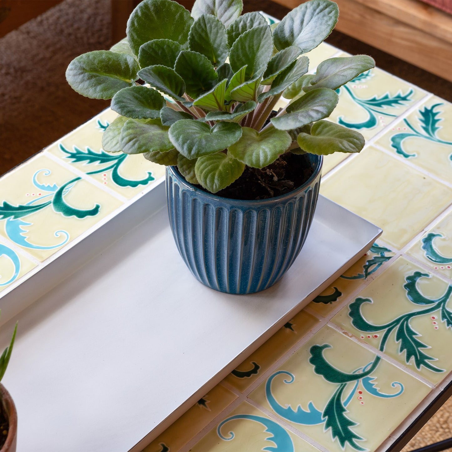 Achla Medium Cape Cod White Flower Box Tray, Pack of 2 | Galvanized Steel Planter Tray | Indoor & Outdoor Plant Drip Tray | Model TR-C-20W-2