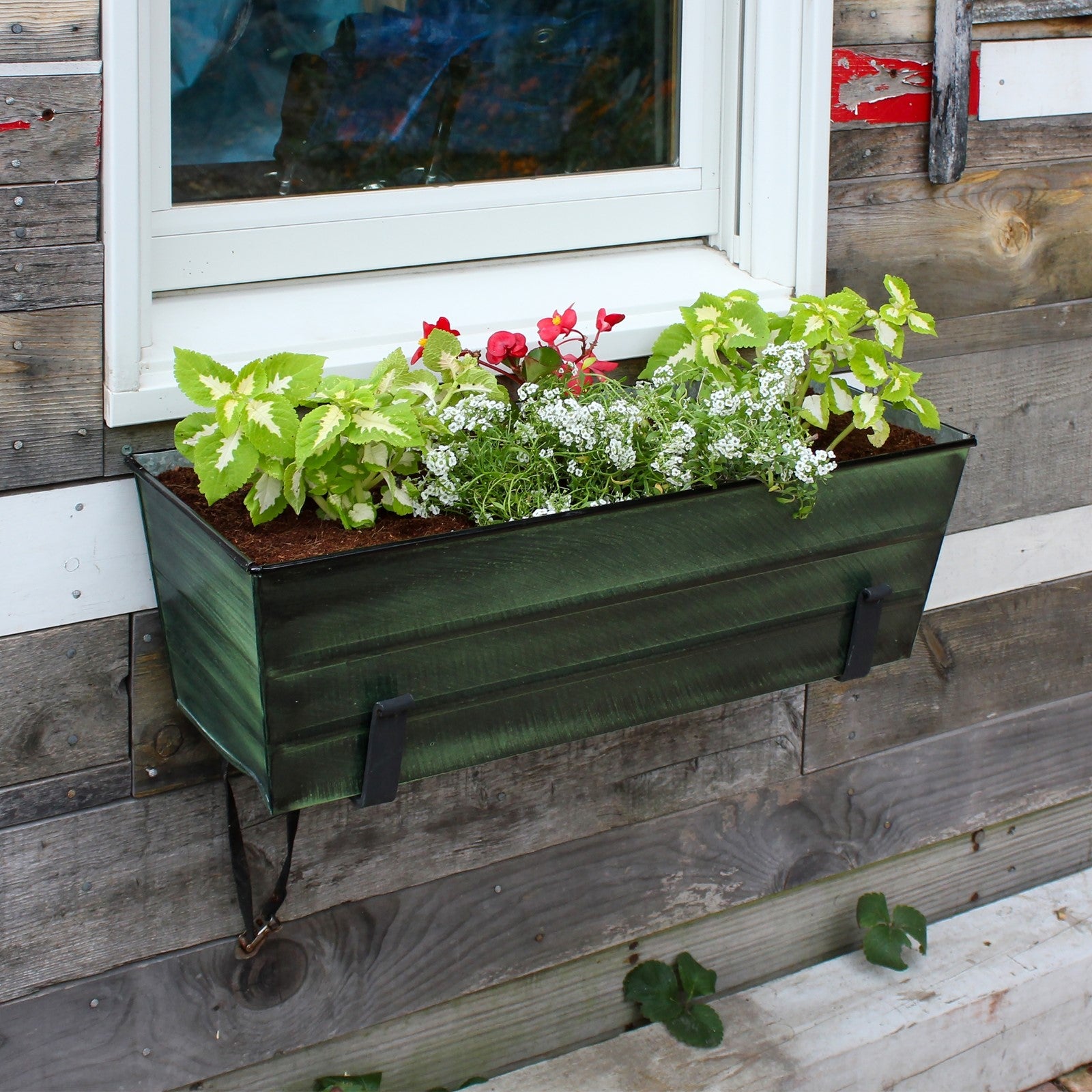Achla Bloom Box Garden Growing Kit Medium | Green Patina Galvanized Steel and Black Wrought Iron Wall Brackets | Deck & Balcony | Model VFB-05-WM-GK2
