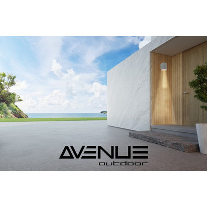 Avenue Lighting Avenue Outdoor 6in 1-Light Outdoor Sconce | Modern Silver and Acrylic Panel | Porch & Garage | 4 x 4 x 6 in | Model AV9891-SLV