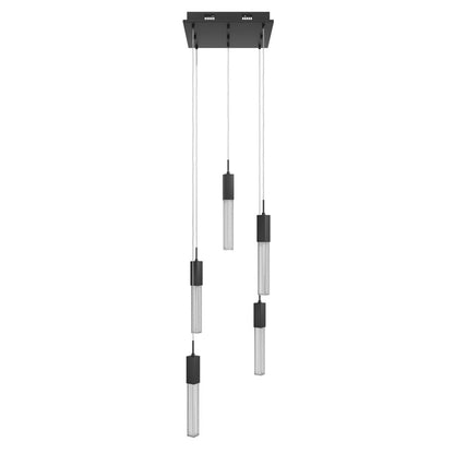 Avenue Lighting Boa 5 Light 144" Pendant/Multi Port , Black