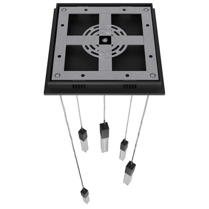 Avenue Lighting Boa 5 Light 144" Pendant/Multi Port , Black