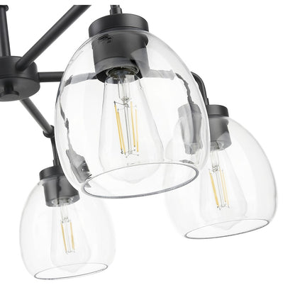 Acclaim Lighting 5 Light 27" Chandelier, Matte Black/Clear