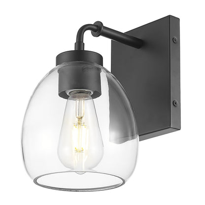 Acclaim Lighting 1 Light 6" Sconce, Matte Black/Clear