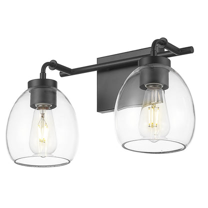 Acclaim Lighting 2 Light 16" Vanity, Matte Black/Clear