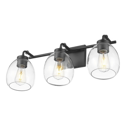 Acclaim Lighting 3 Light 24" Vanity, Matte Black/Clear