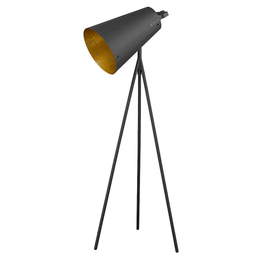 Acclaim Faza Floor Lamp, Black/Black Iron Cone/Gold Leaf