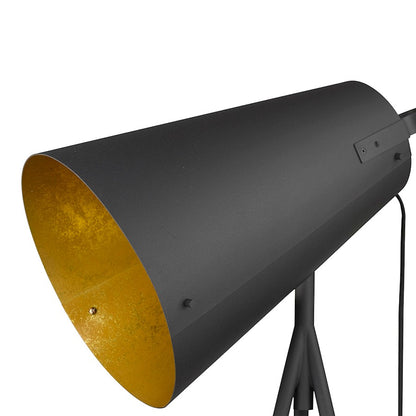 Acclaim Faza Floor Lamp, Black/Black Iron Cone/Gold Leaf