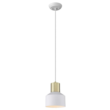 1 Light Pendant, White