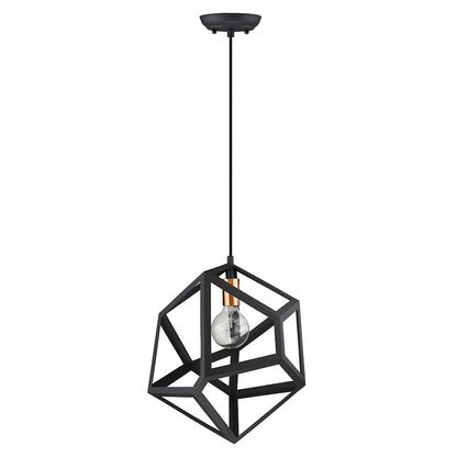 1 Light Pendant