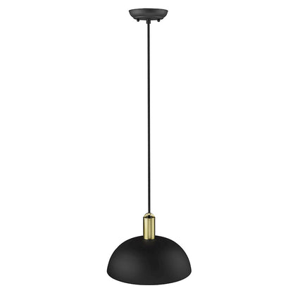 1 Light Pendant