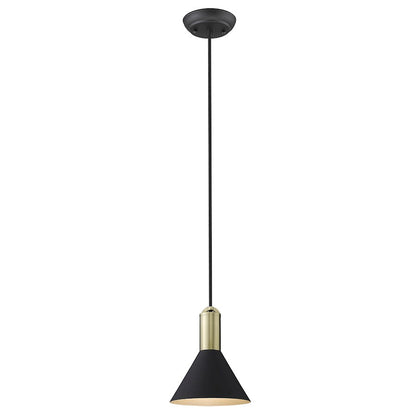 1 Light Pendant