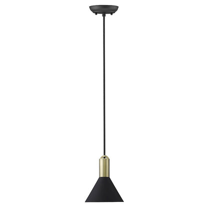 1 Light Pendant