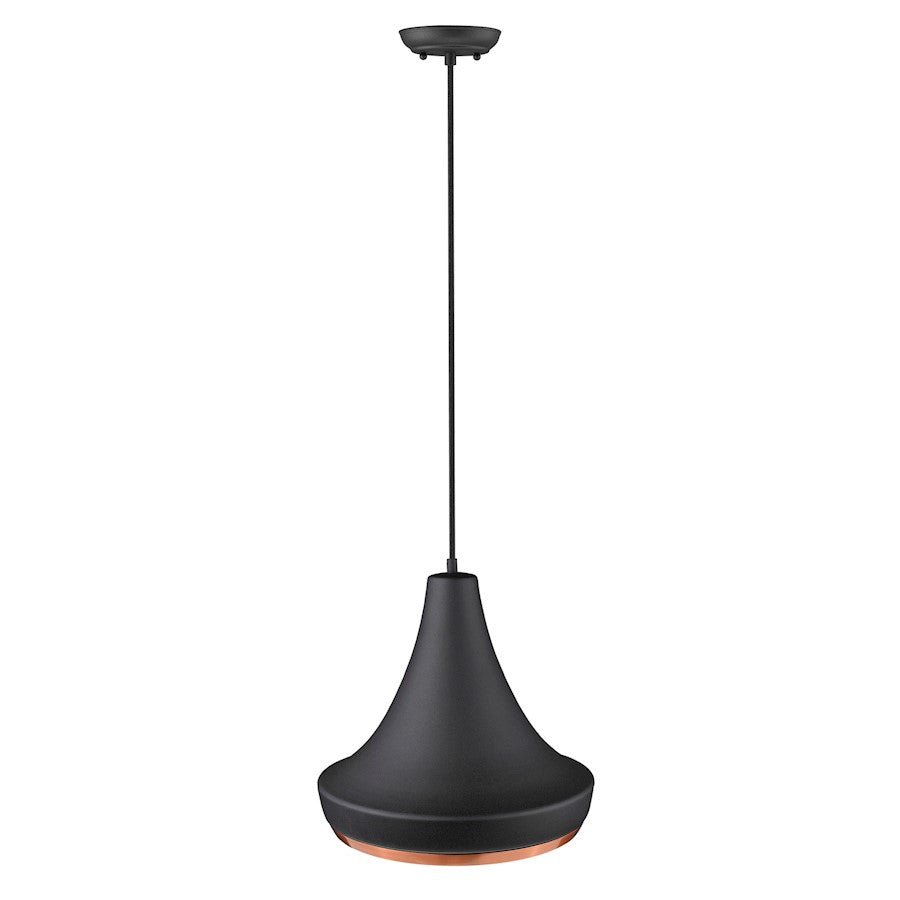 1 Light Pendant