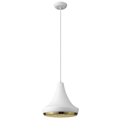 1 Light Pendant