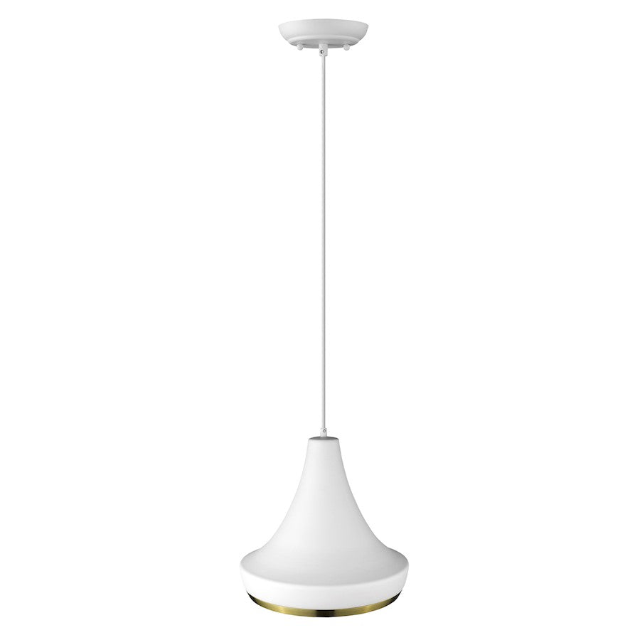 1 Light Pendant