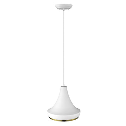 1 Light Pendant