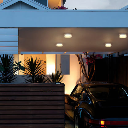 Alteck Sunspot 6" LED Outdoor, Brushed Stainless Steel