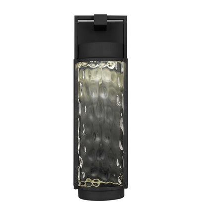 Alteck Winston 21.75" LED Outdoor Sconce, Black/Clear, Black