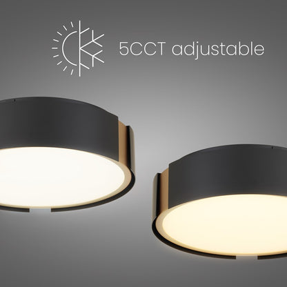 Alteck Milan 10in 1-Light LED Flush Mount | Contemporary Matte Black and Brass Accent | Entryway & Hallway | 10 x 10 x 3 in | Model BFM0028-5CCT-BK