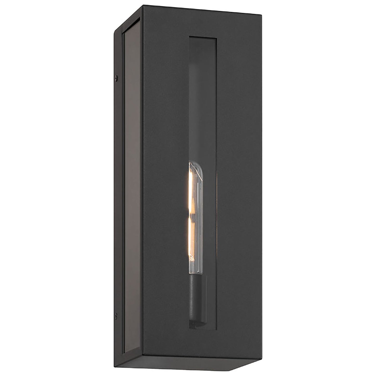 Access Lighting Chatham 1 Light Outdoor Wall Mount, Black/Clear