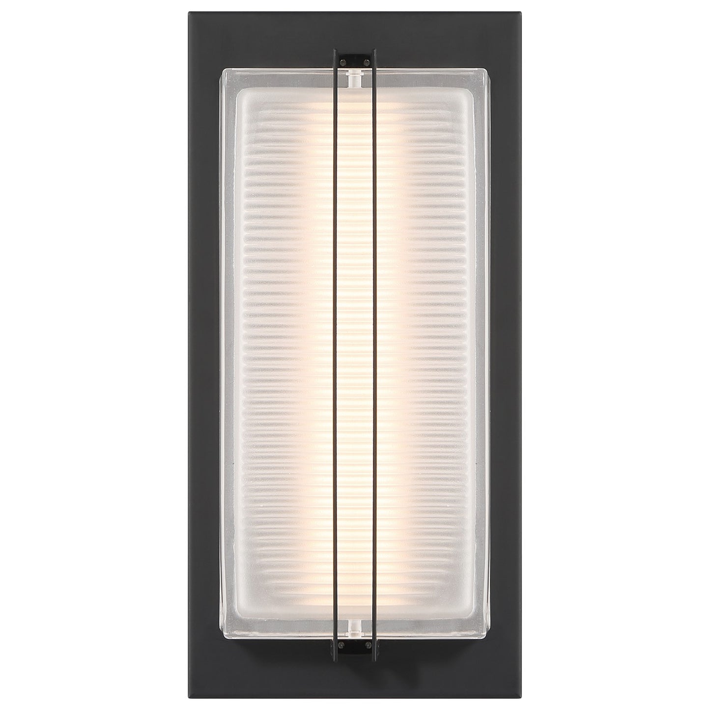 Access Driftwood LED Outdoor Wall Mt, 12.75"H, Black/Frosted